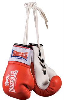 Mini Glove Hangers